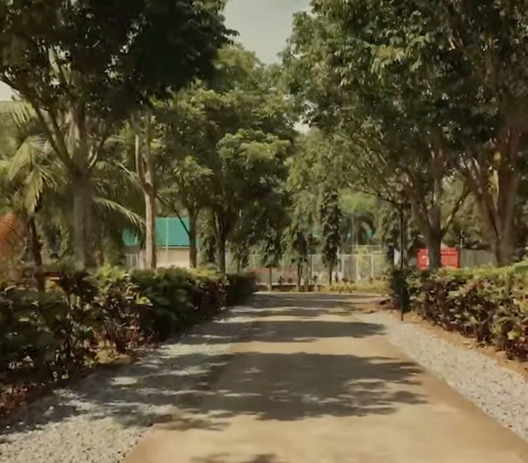 Resort Pathways